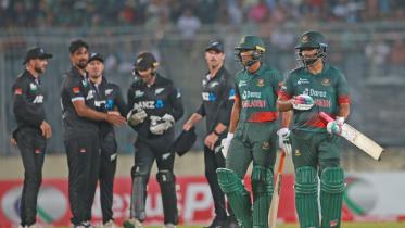 Cricket second edition.jpg