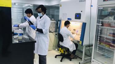 dengue study ctg.jpg