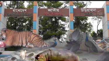 teen dies-mirpur zoo.jpg