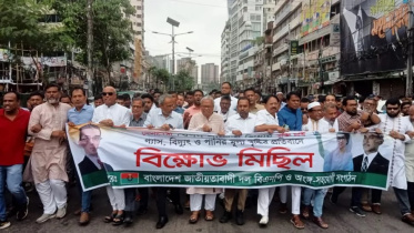 bnp criticises govt.jpg