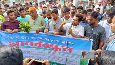 Tea growers-Panchagarh.jpg