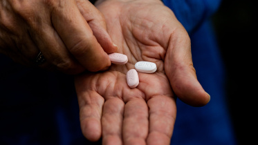 HB for 20 oct 2024_2910.jpg