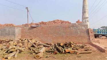 brick kilns.jpg