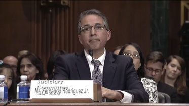 trumps judge.jpg