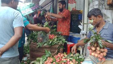 Pabna-Litchi special 