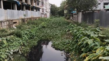 Rangpurs lifeline now a drain of despair_5890.jpg