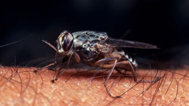 HB for 17 aug 2025.jpg