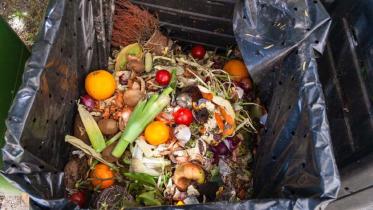 2L for 28 sep 2025.jpg