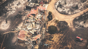 bushfires.jpg