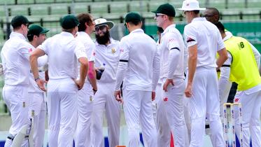 Proteas celebrate
