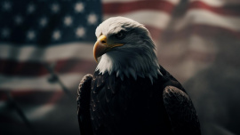 USA_Eagal.jpg