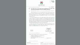 Untitled design (11).png