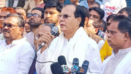 Minister Asadul Habib Dulu. File Photo: BSS