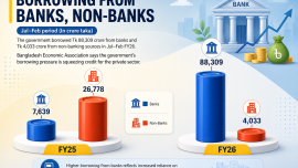 BEA bank borrowing .png