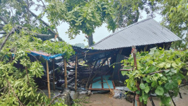 A tree fell on a dwelling house in Jamalpur during a storm early today. Photo: Sahidul Islam Nirab