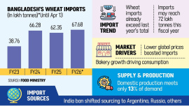 Wheat Imports 2.jpeg
