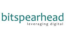 Bitspearhead.jpeg
