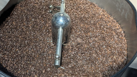 Coffee_Beans_1.jpeg