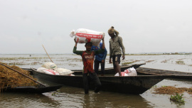Haor paddy saved by tea workers.jpg