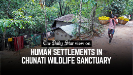 Human_settlements_in_Chunati_Wildlife.jpg