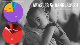 measles deaths in bangladesh 2026.png