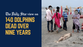 dolphin deaths in Bangladesh beaches