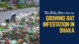 Editorial_2-rat-infestation.jpg