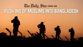 HRW report on push ins.png