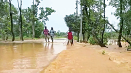 Nalitabari.jpg