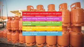subsidy gas.png