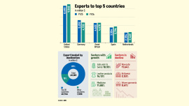 Govt-chart.jpg
