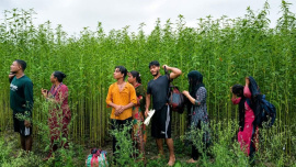 BGB stops BSF push in attempt