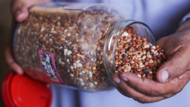 Gaza Seed Bank.jpg