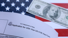 H1-B visa USA.png