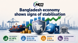 MCCI review.png