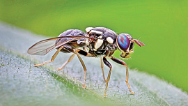 nature.jpg