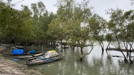 1. Traditional fishing boats (dingas).jpeg