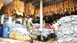 Tannery.jpg
