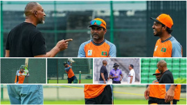 Tigers collage.JPG