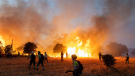 Wildfires.JPG