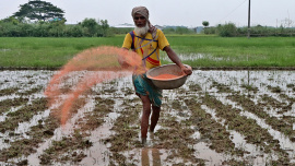 fertiliser-spreading.jpg