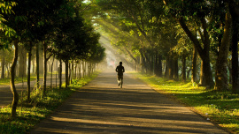 Nafi Sami - SUPA  (2).jpg