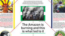 Amazon infographic RGB THUMB.jpg