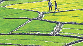 beautiful bangladesh 1.jpg