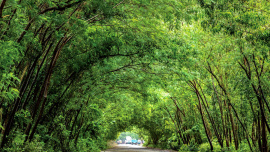 Bonayan Program of British American Tobacco Bangladesh