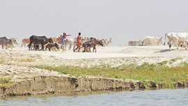 Let the rivers run wild