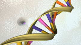 new-gene-1-web.jpg