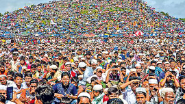 protection-of-rohingyas.jpg