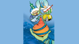 Daily Star editor's note