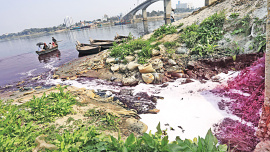 Int’l Day of Action for Rivers: Shitalakkhya a deathbed for fish now